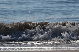 10428540_10205802116123062_751029955663834881_n